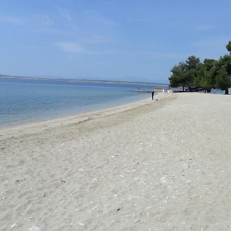 Hotel Vila Ruzica- Glavna Zgrada I Depandanse ซริกเวนิซา ภายนอก รูปภาพ