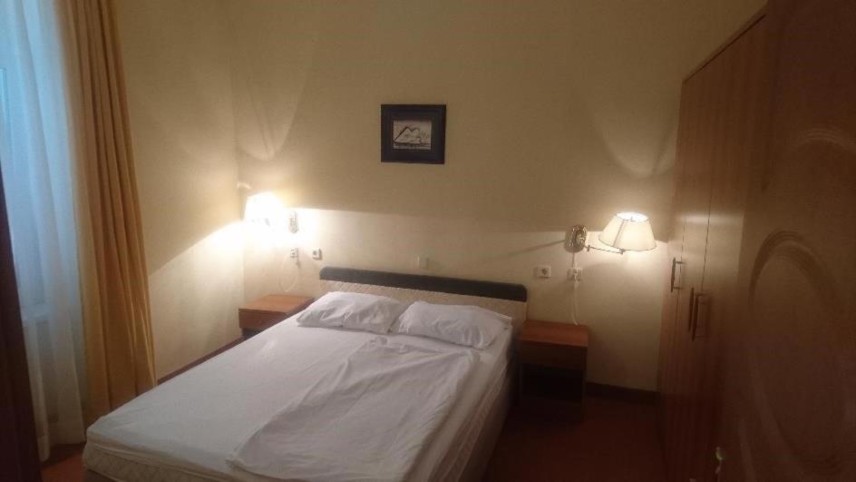 Hotel Vila Ruzica- Glavna Zgrada I Depandanse ซริกเวนิซา ภายนอก รูปภาพ