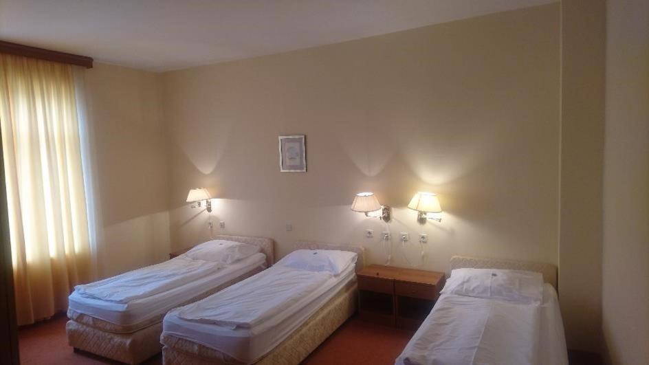 Hotel Vila Ruzica- Glavna Zgrada I Depandanse ซริกเวนิซา ภายนอก รูปภาพ